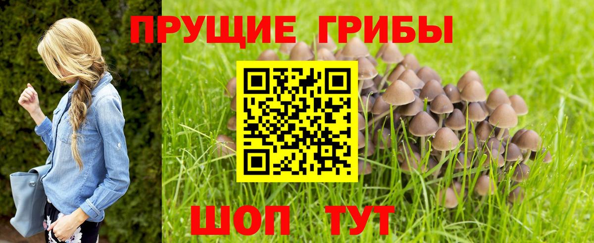 Псилоцибиновые грибы GOLDEN TEACHER  Вход с VPN  Берёзовский 