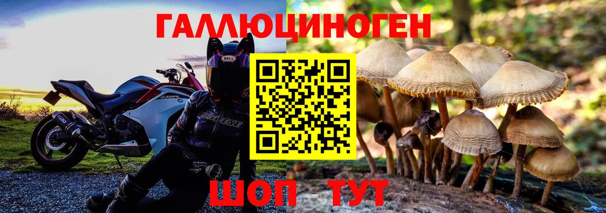 Галлюциногенные грибы Magic Shrooms  Псилоцибиновые грибы ЛСД  Берёзовский 