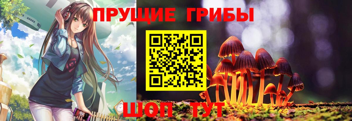 Галлюциногенные грибы прущие грибы Берёзовский